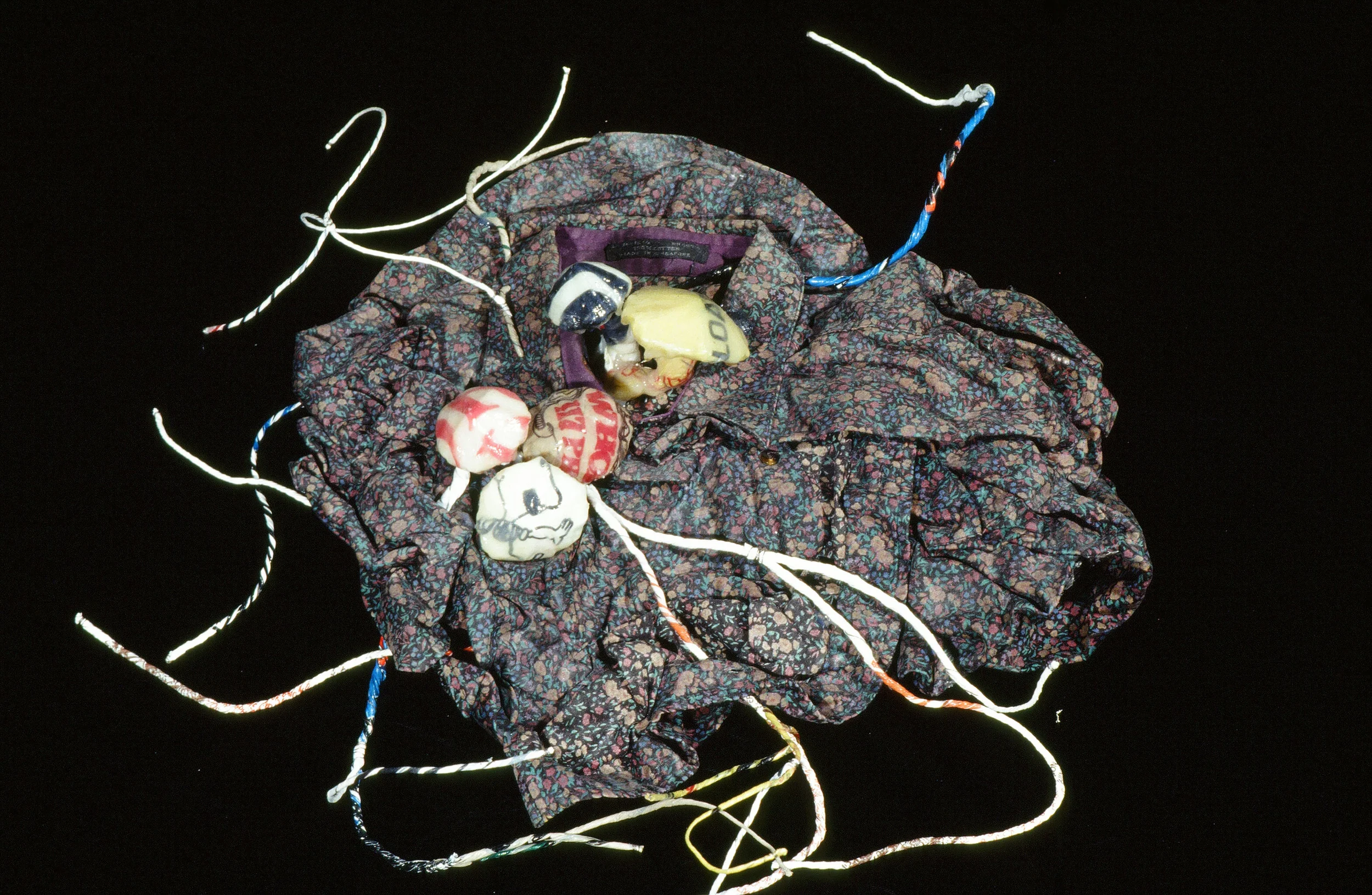 Armillaria Bulbosa, Fragment