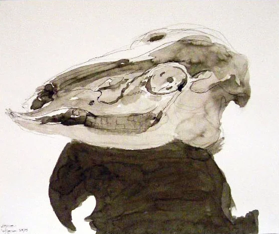 11th Grade, Cow Skull
