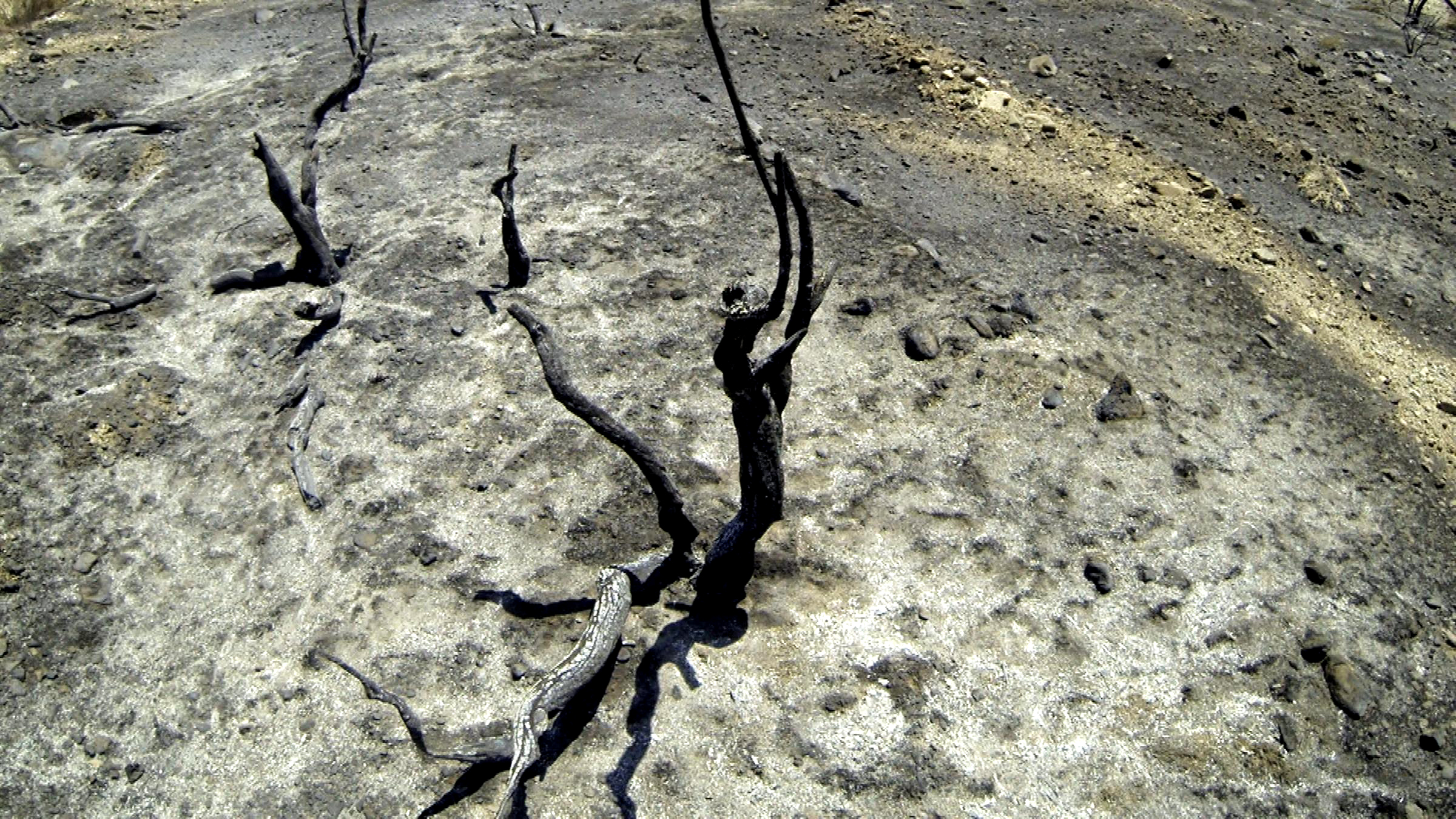 "When the Sand Fire was finally under control I had an overwhelming urge to shoot something..."
