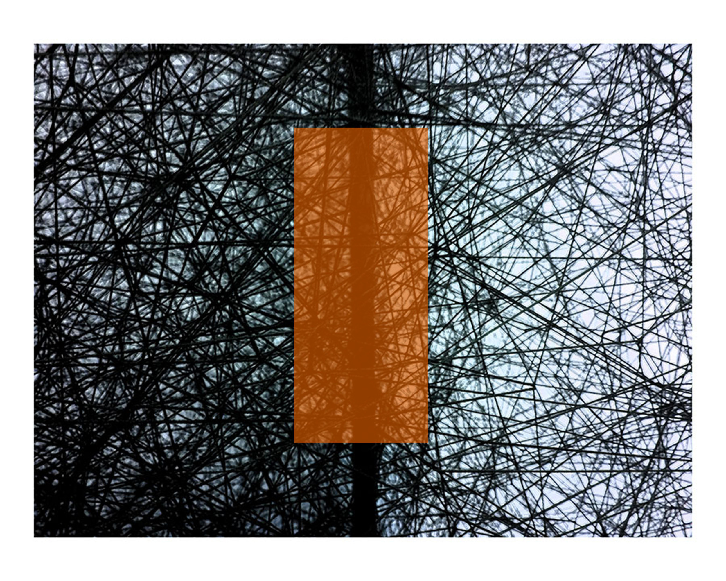 crosshatchorange2.jpg