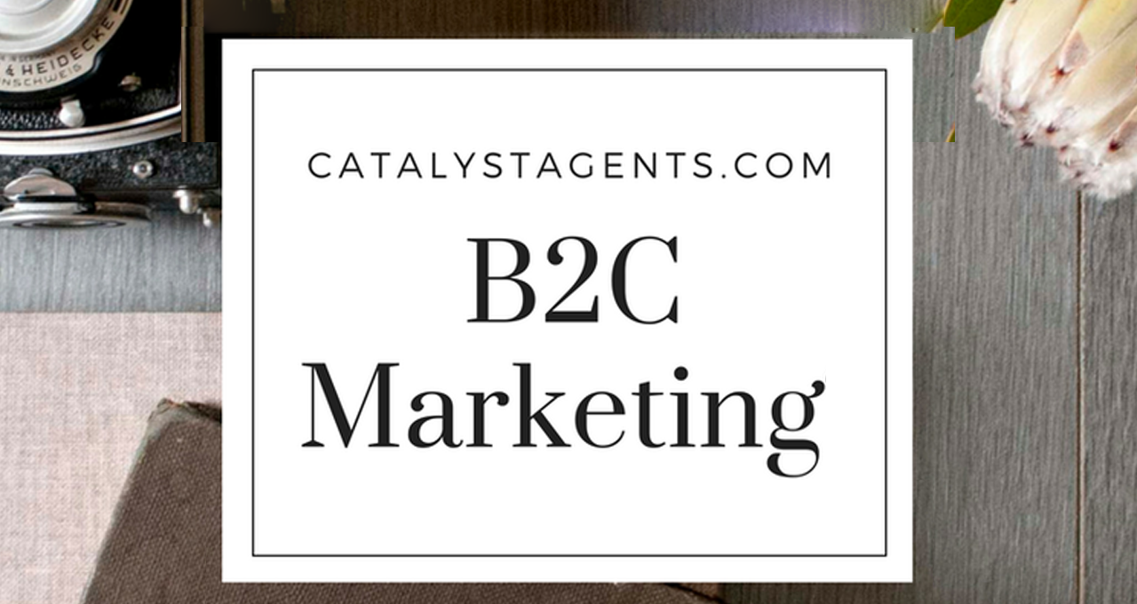 Catalyst+Agents+-+What+is+B2C.png