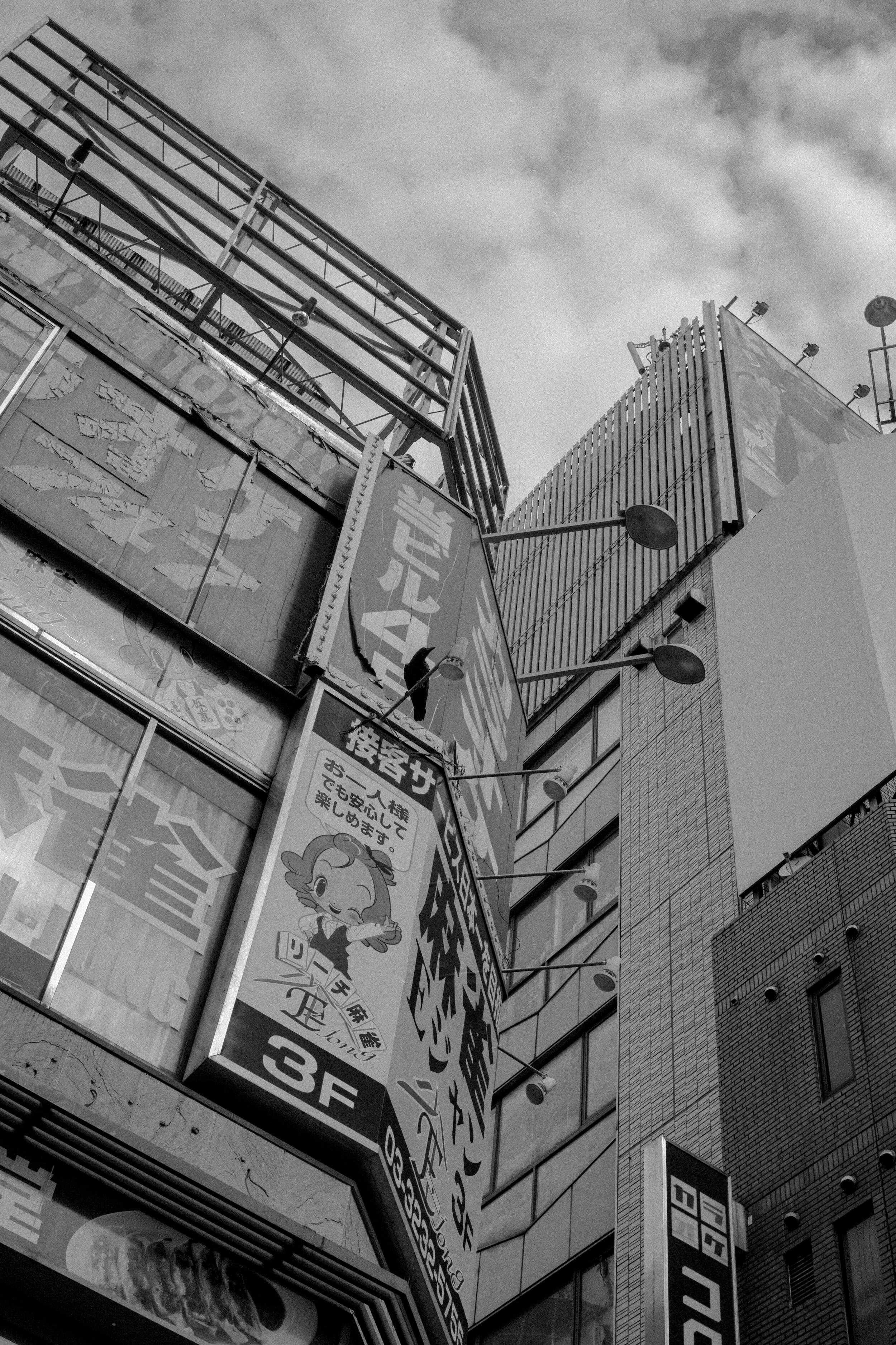 SDIM1030.jpg