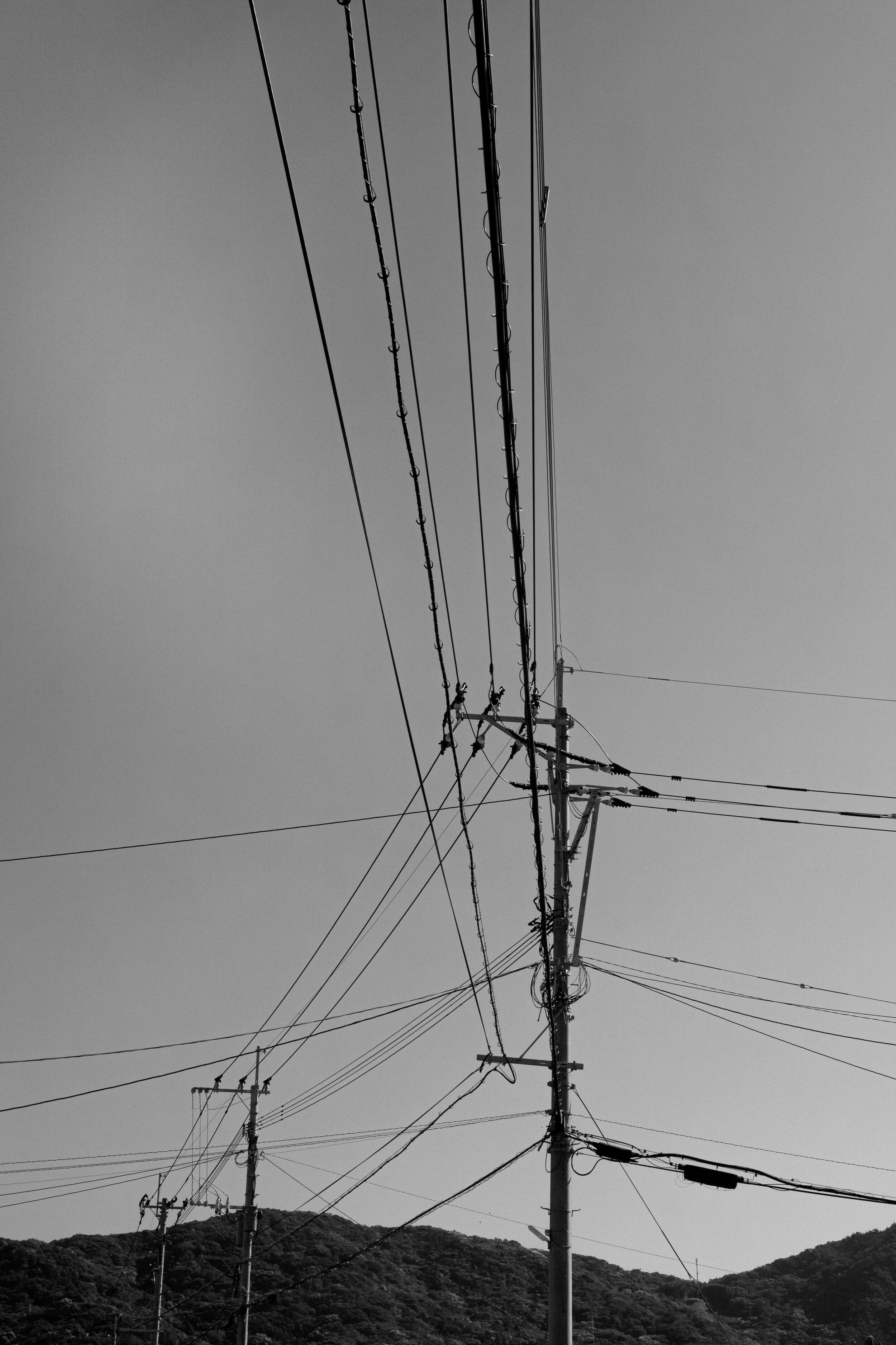 SDIM1164.jpg