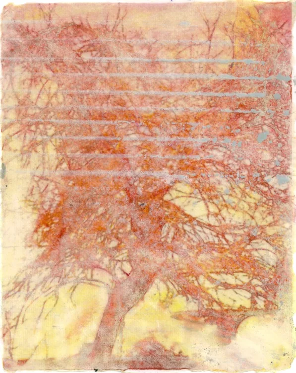 Exhibit in the Mezzanine Gallery in New Dominion Bookshop