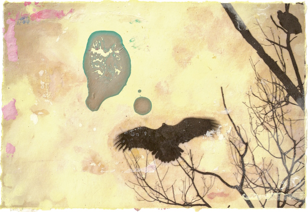 Vulture Sunning (II).jpg