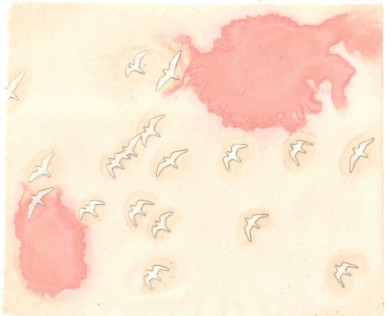 White Seagulls Verso.jpg