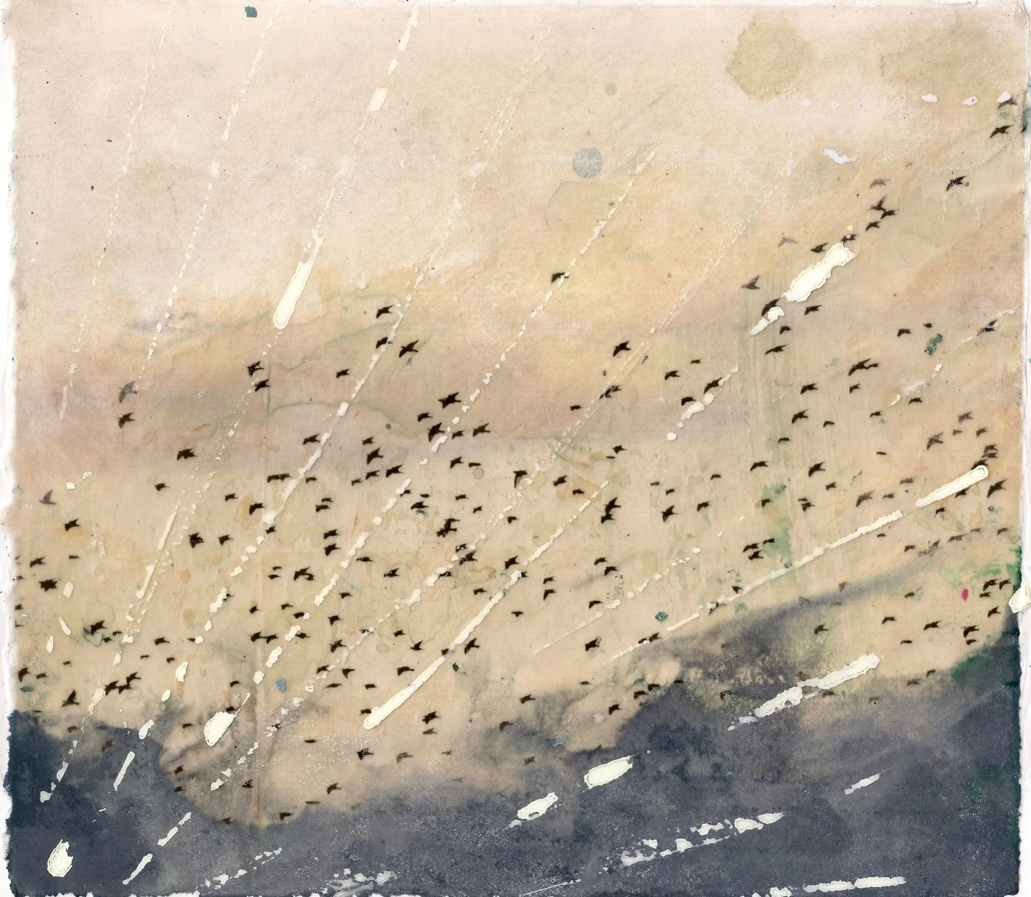 Wingfield Murmuration with Lines.jpg
