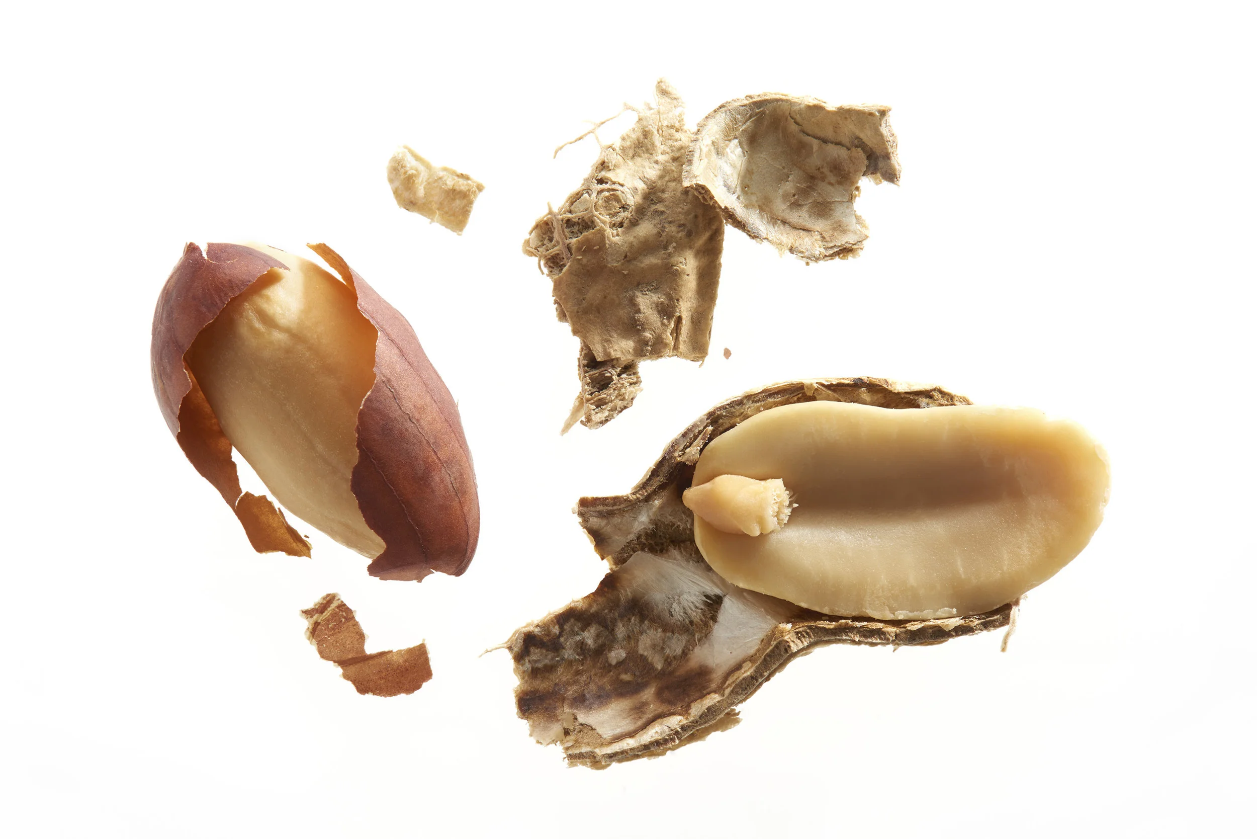 5551_Peanut.jpg