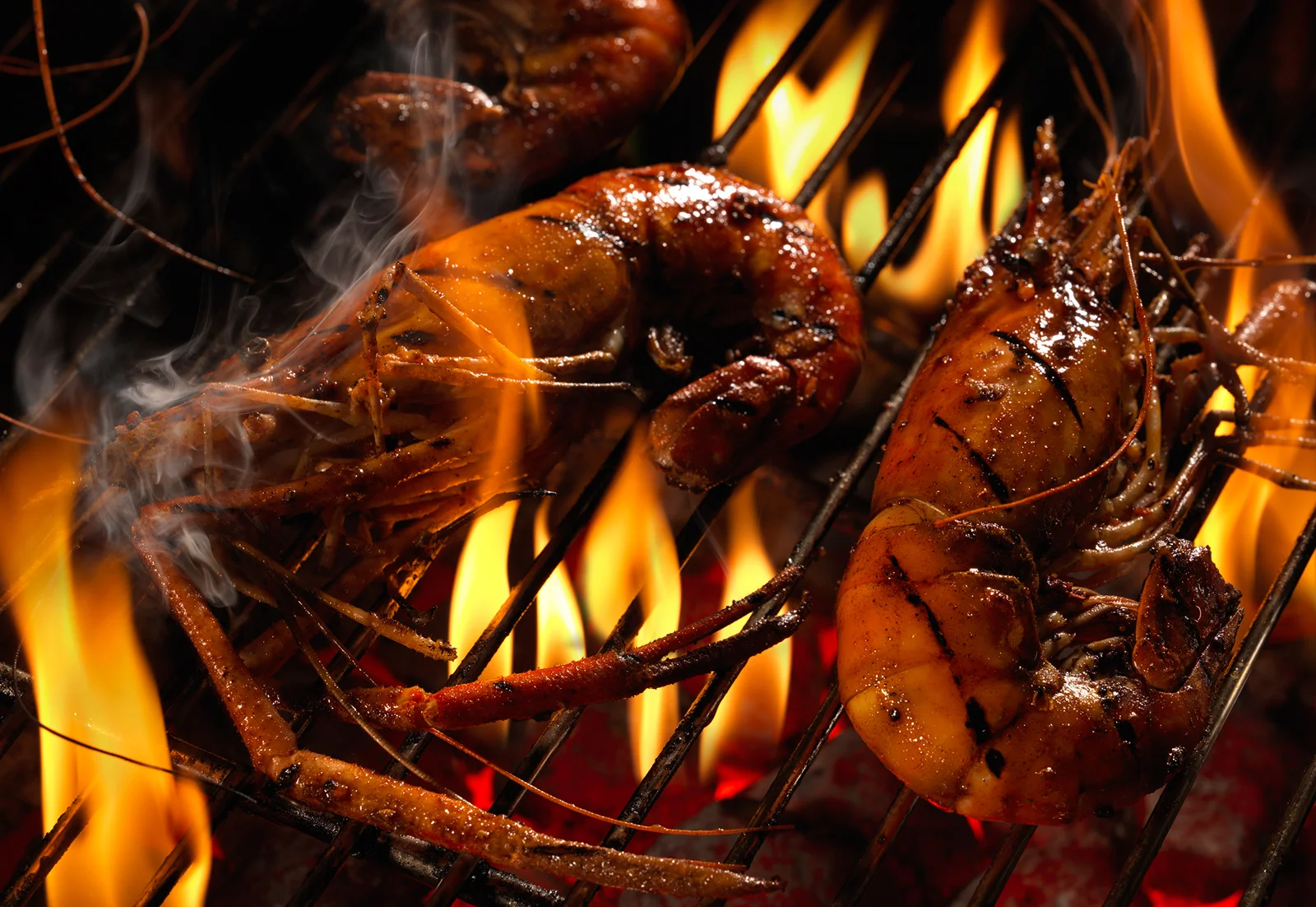 Prawns on the grill