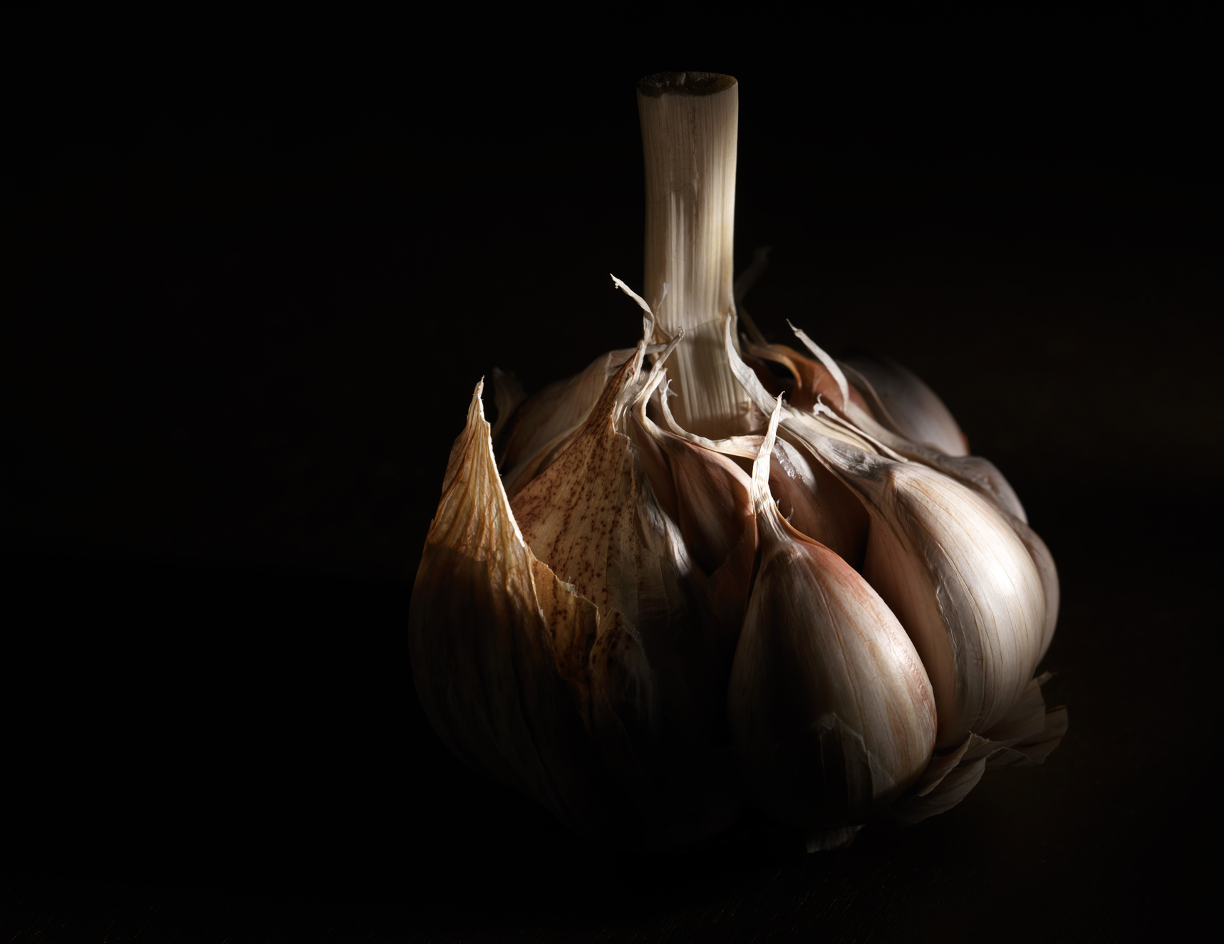Garlic