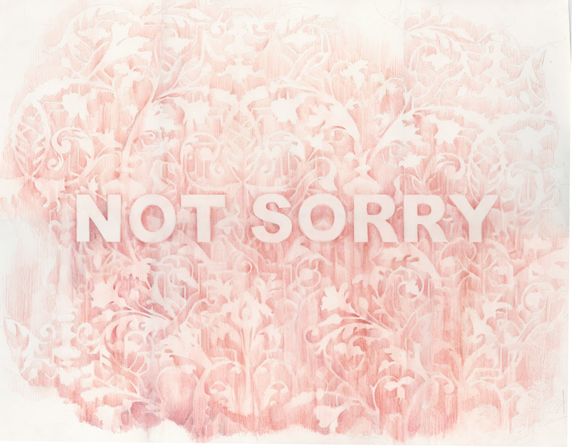 Not Sorry , colored pencil on paper, 22 x 30 inches, 2016