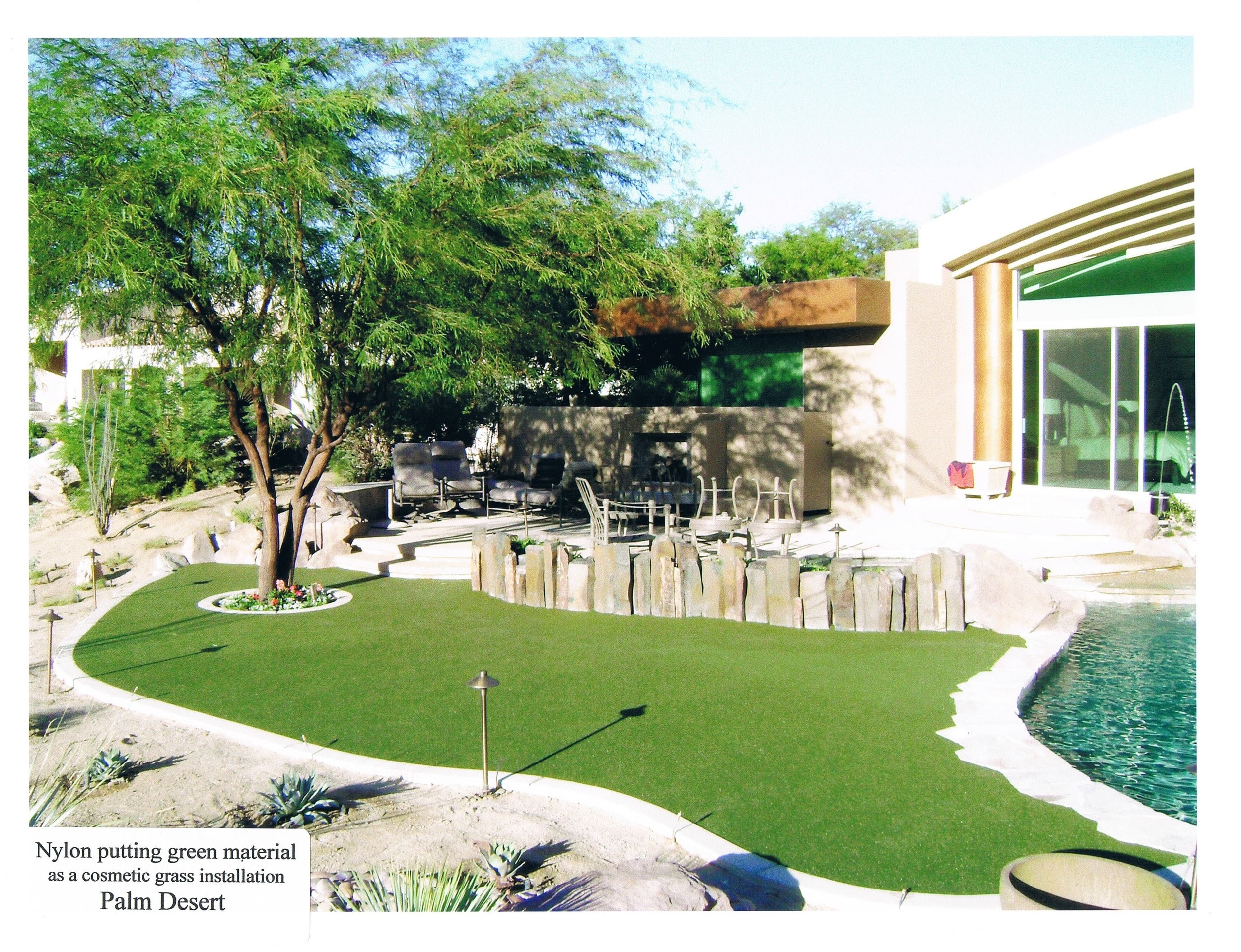 Copy of Synthetic grass landscape