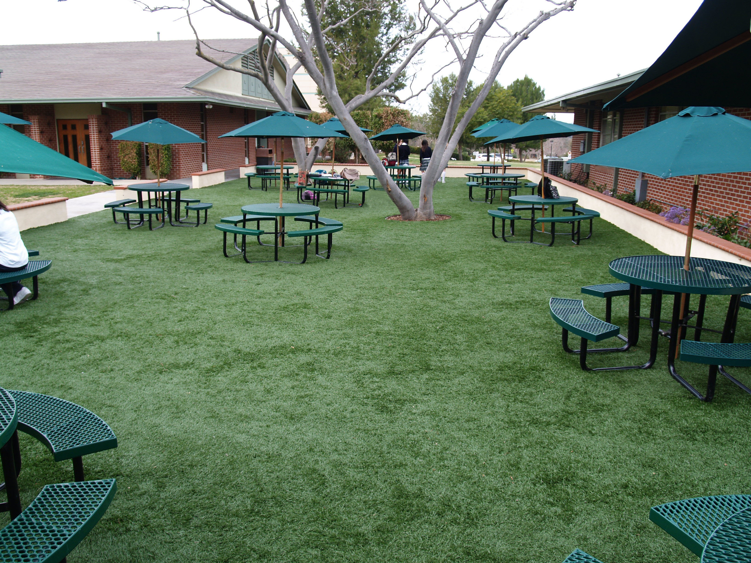 Synthetic grass in school