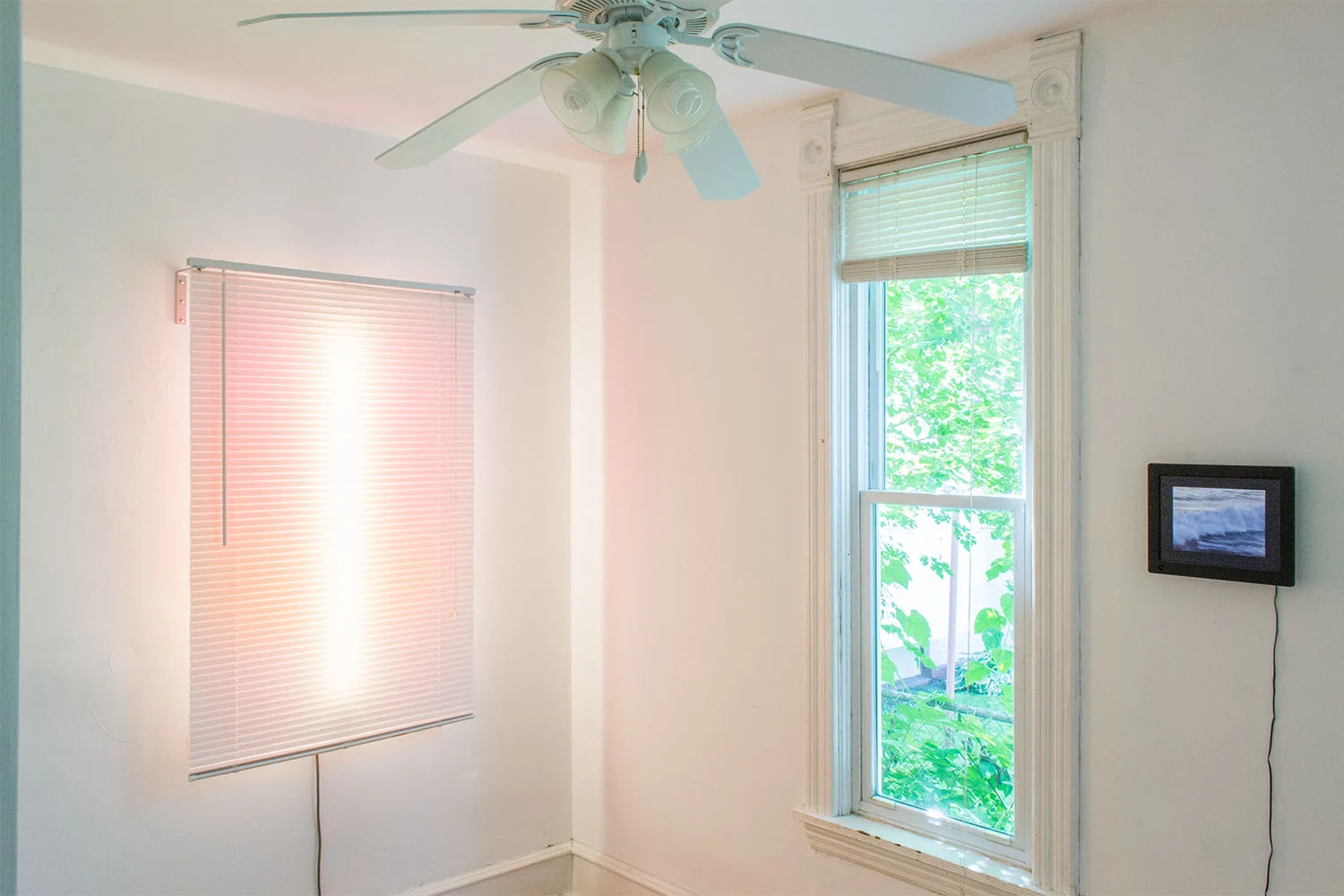 danny epstein / installation view