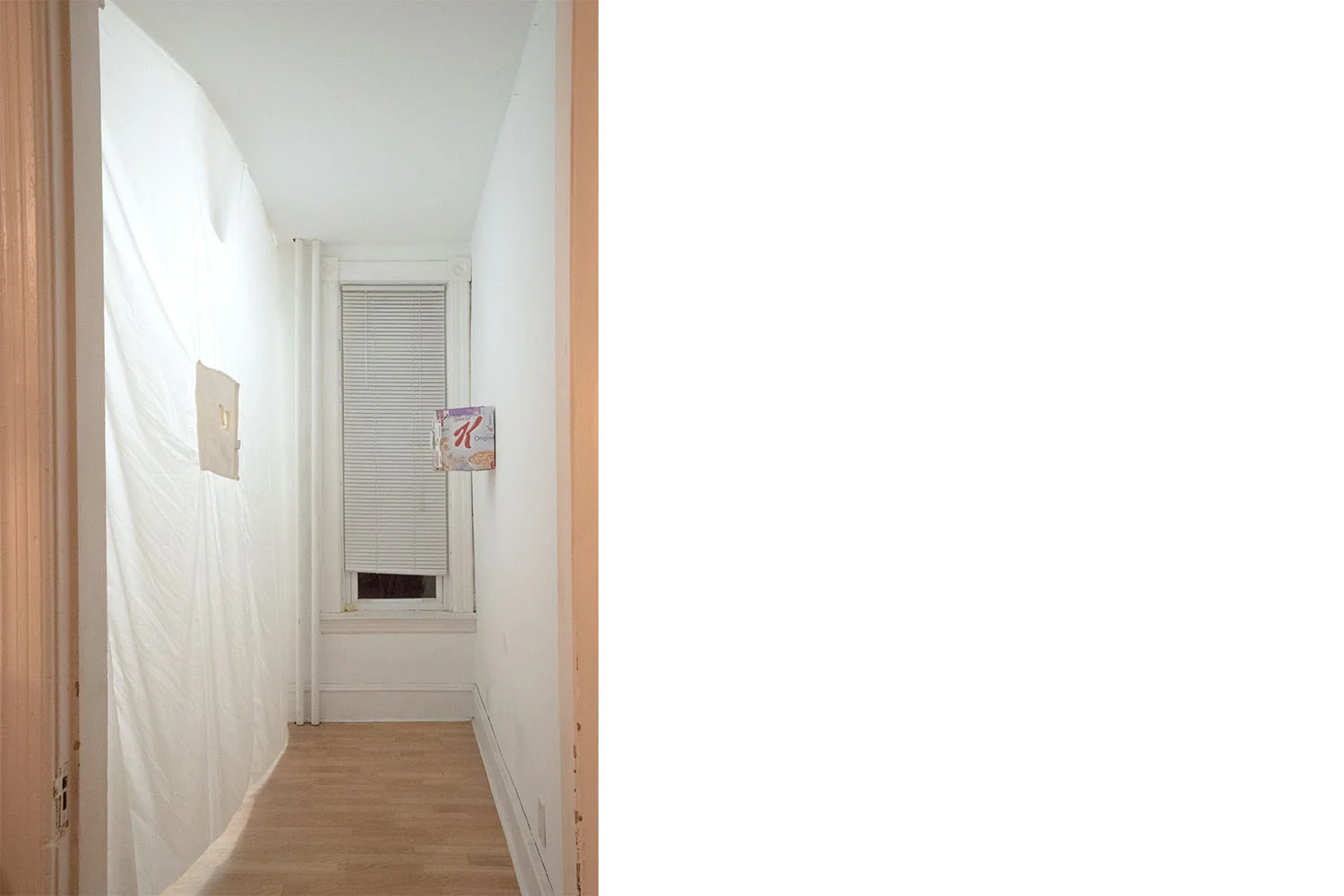 paige carlson / installation view
