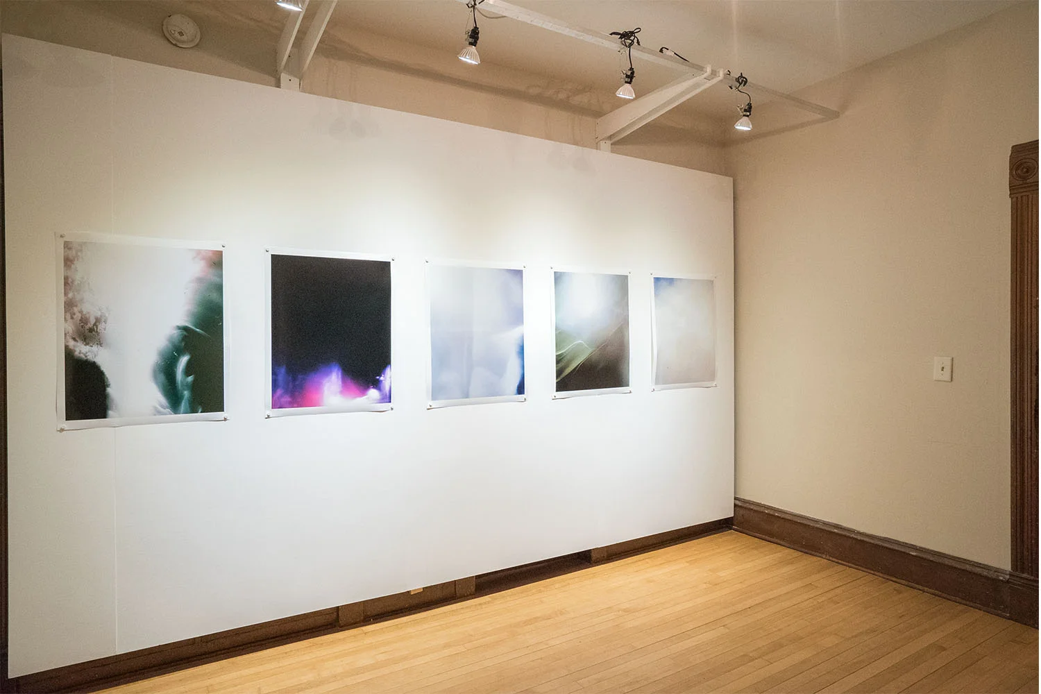 stephanie motta / installation view