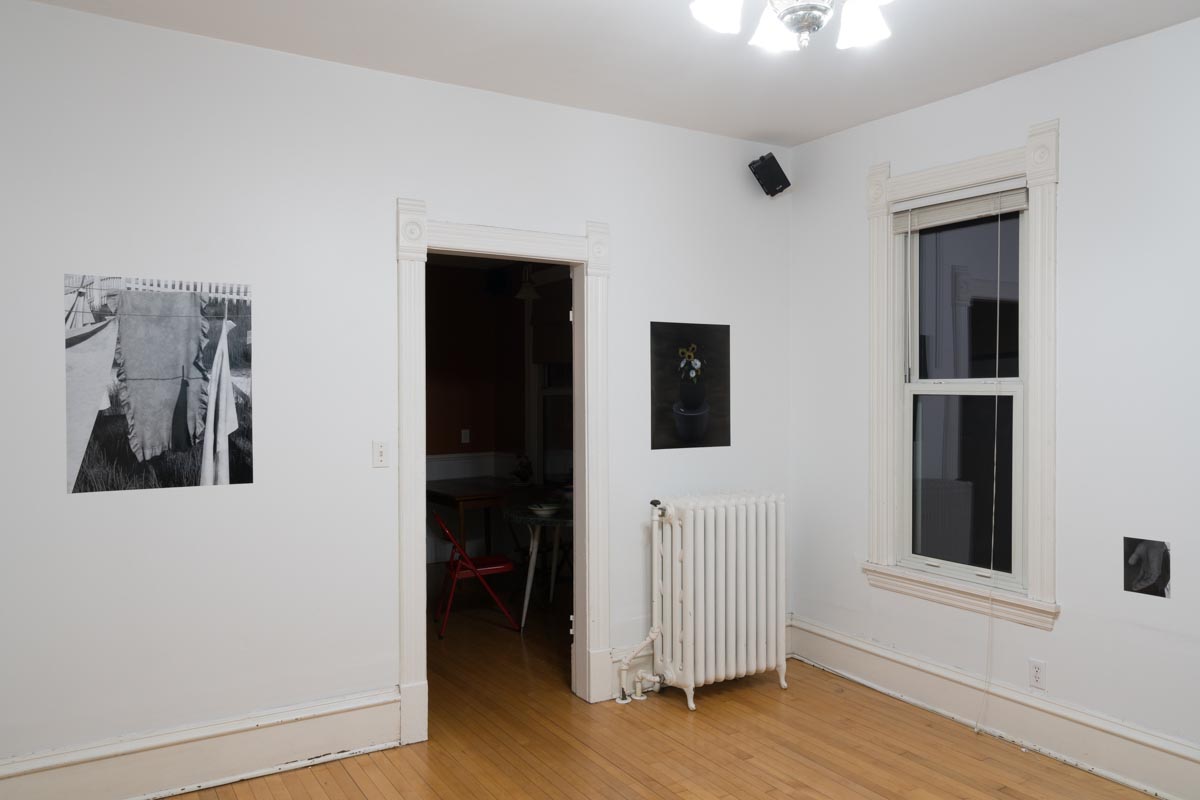dylan nelson / installation view