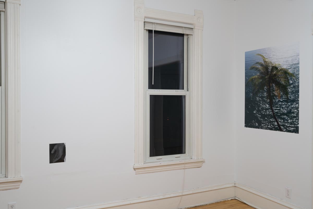 dylan nelson / installation view