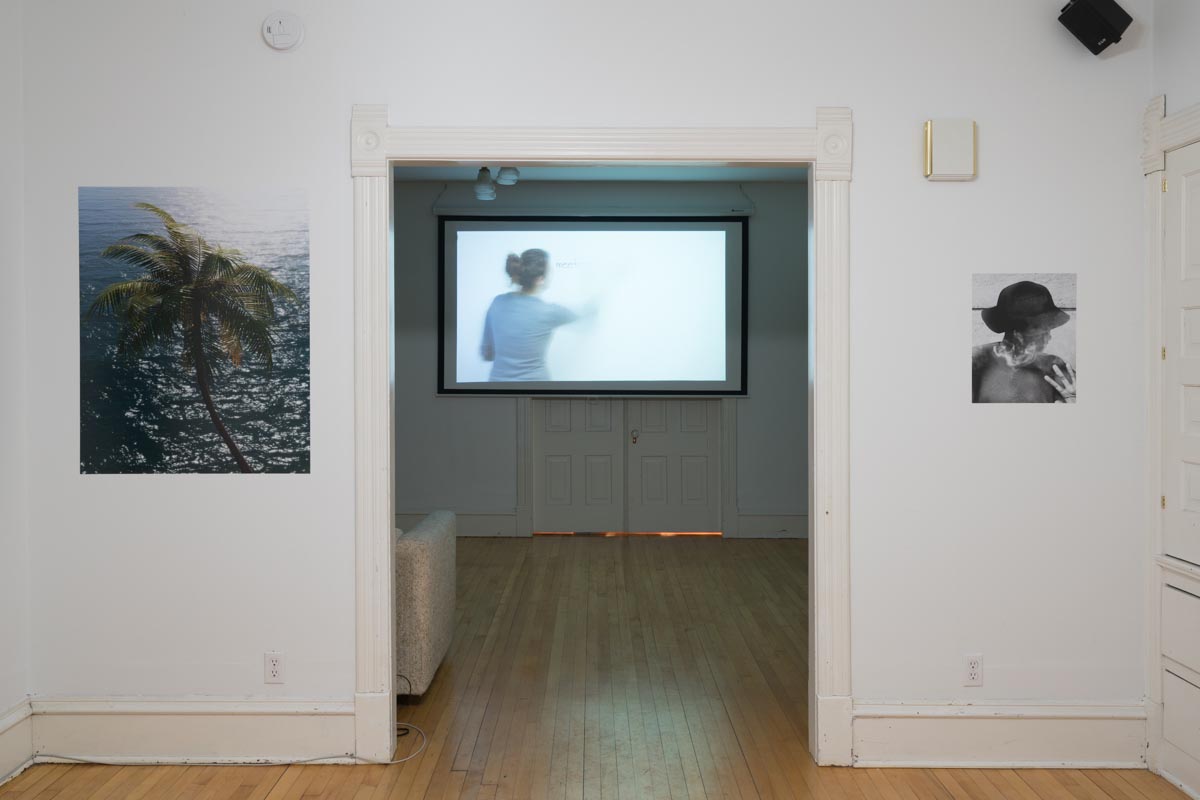 installation view
