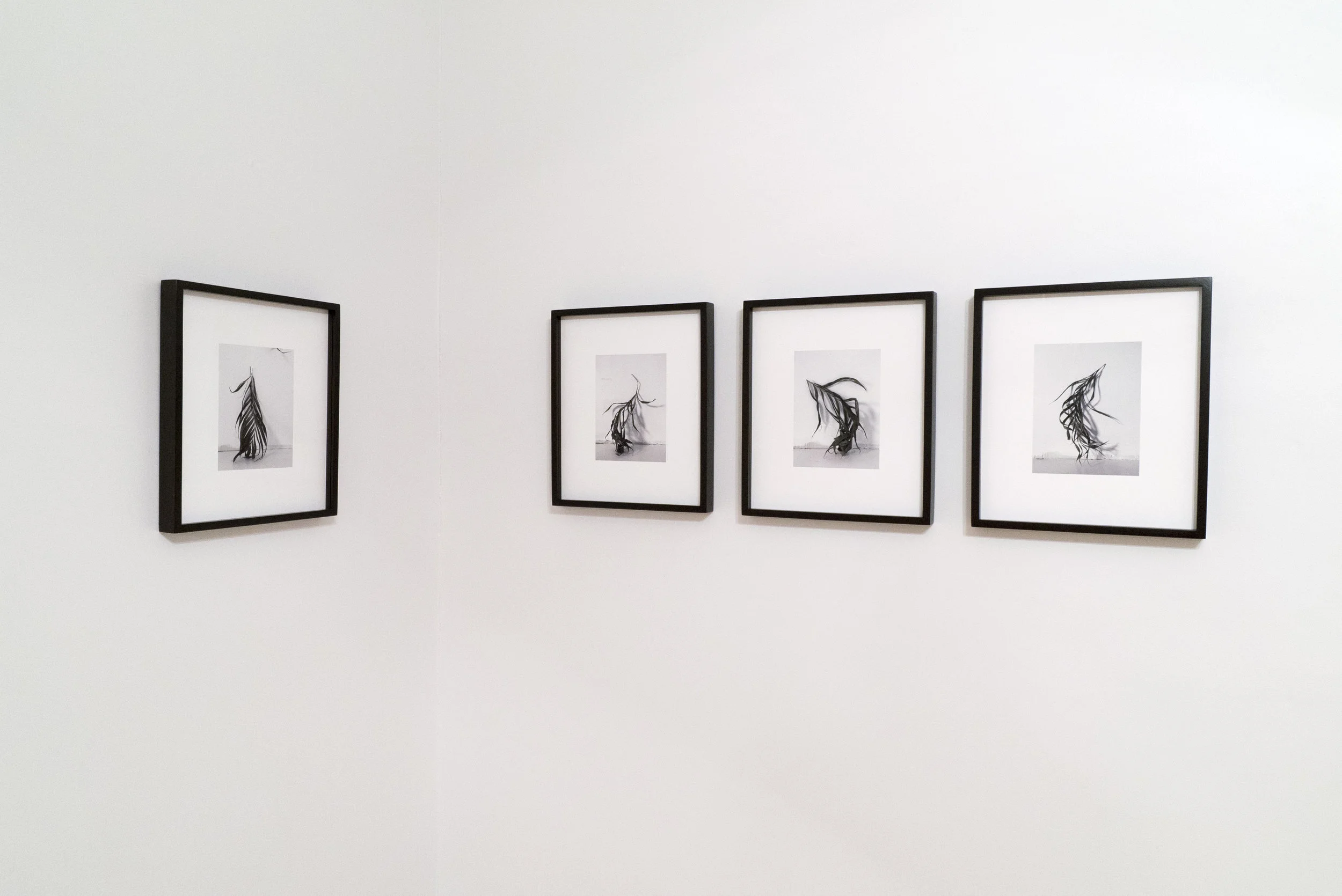joe smith / untitled