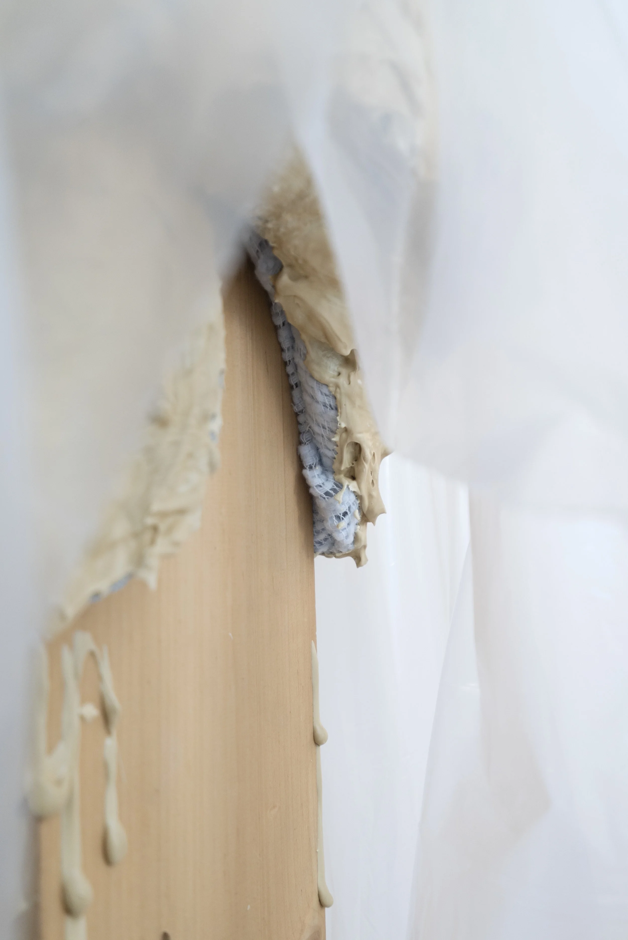 joe smith / detail
