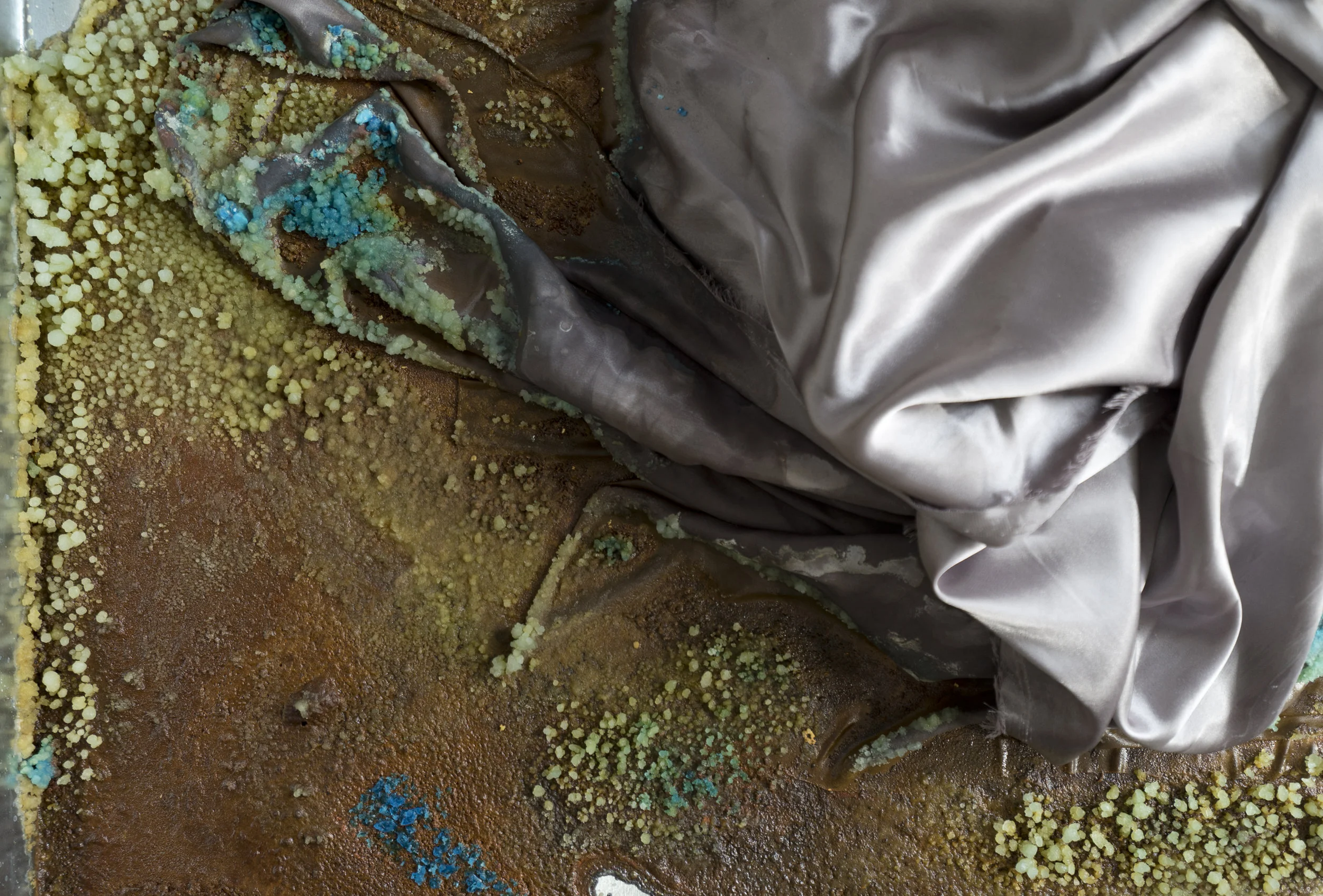 joe smith / detail