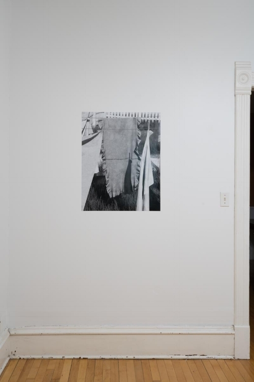 dylan nelson / untitled