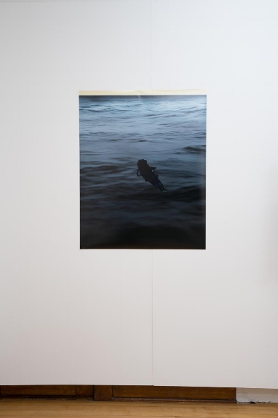 dylan nelson / untitled