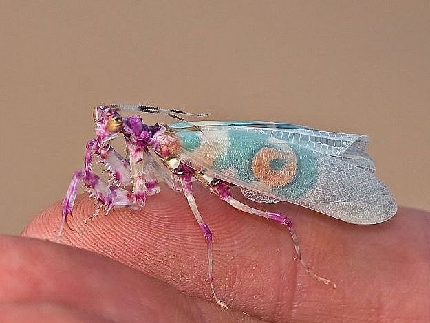 What is this?
