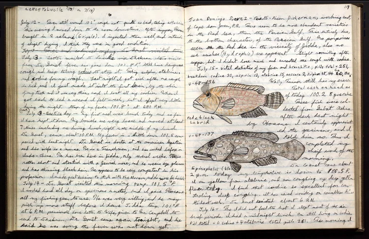 Science Notebooks to Support Meaningful Engagement — Phenomena for NGSS