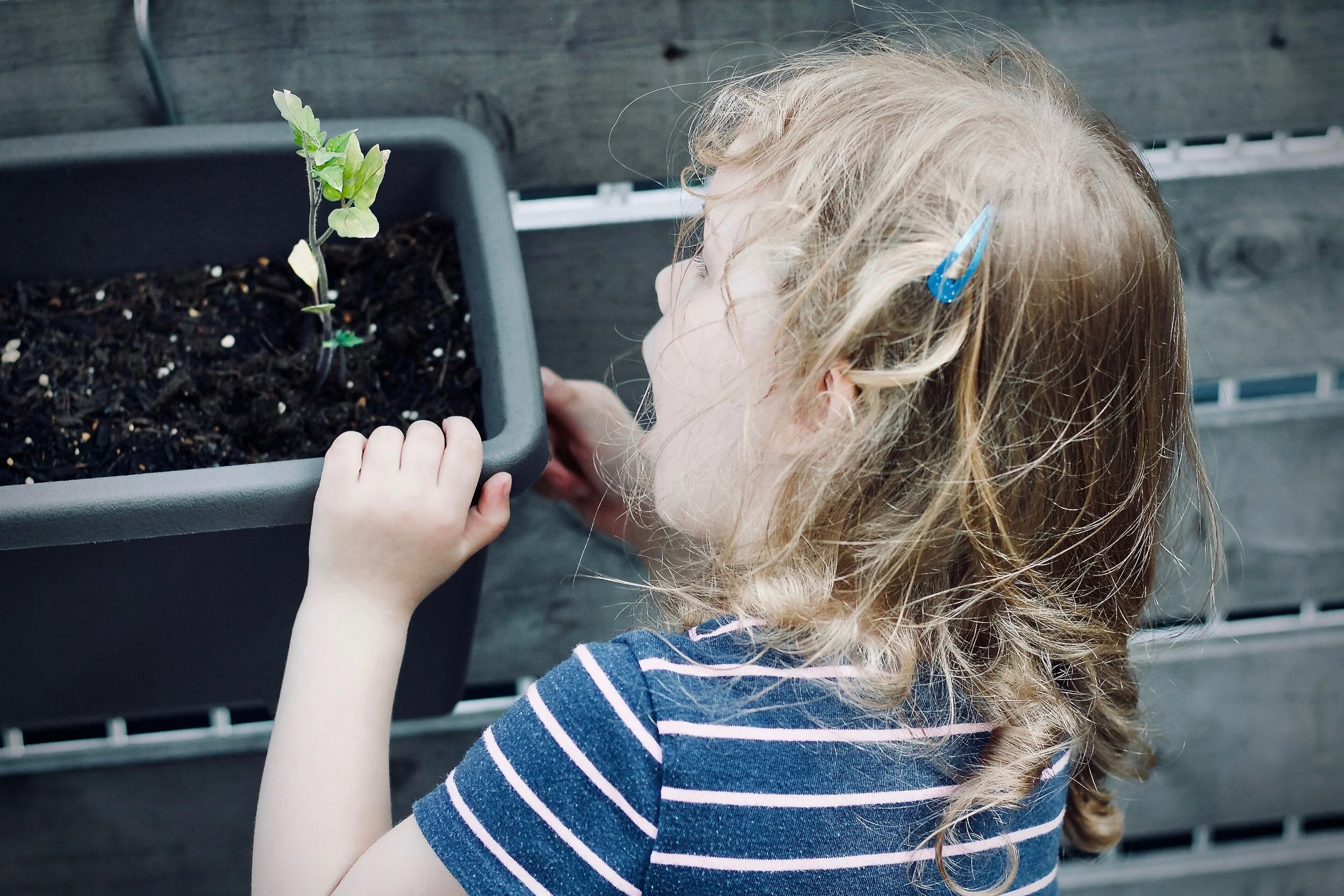 Virtual Sci Ed - Science Is For Everyone - It's Growing on Me!