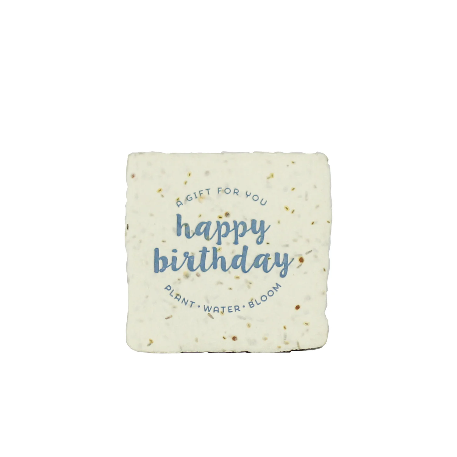 petite_ww_birthday.jpg