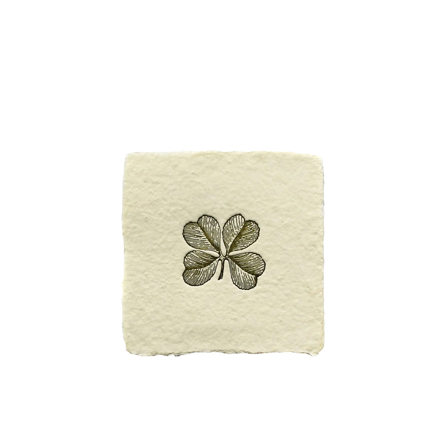petite_clover.jpg
