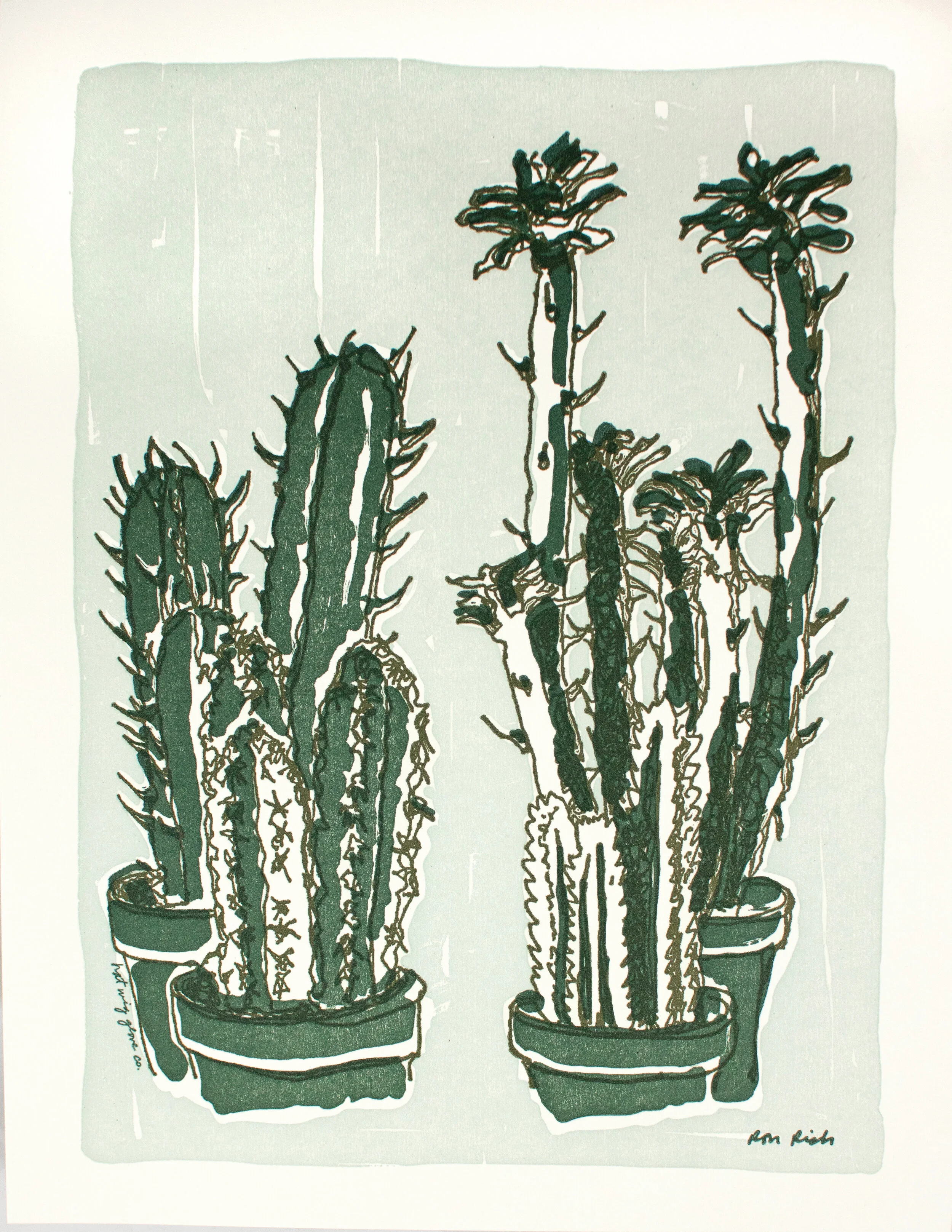 ap-cactus.jpg