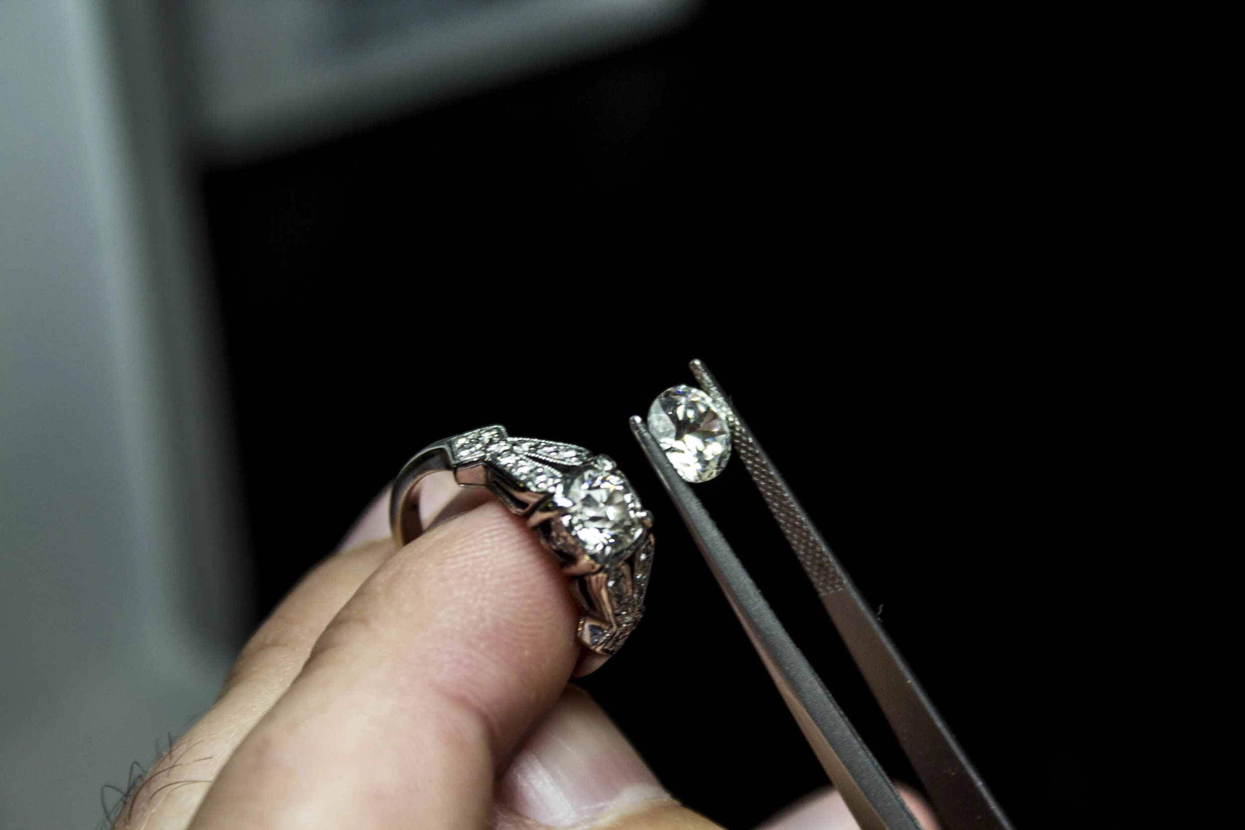 new website photos-04.JPG
