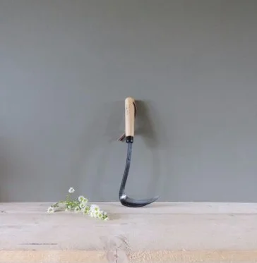 FullSizeRender.jpg