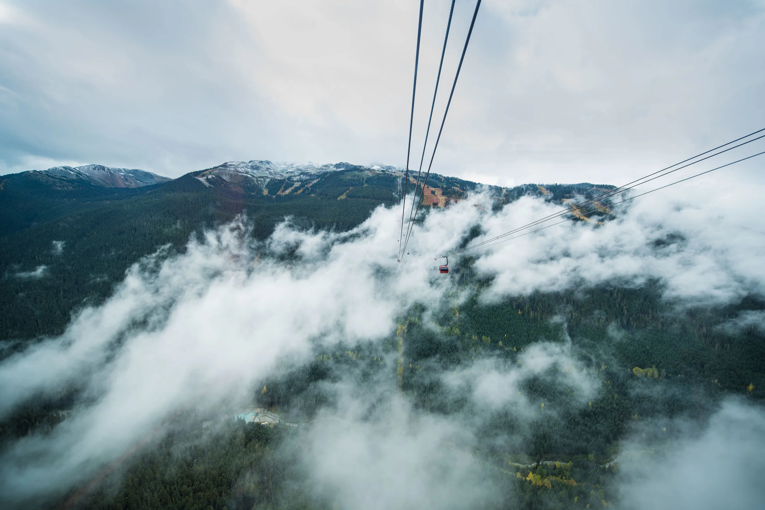 Whistler-3.jpg