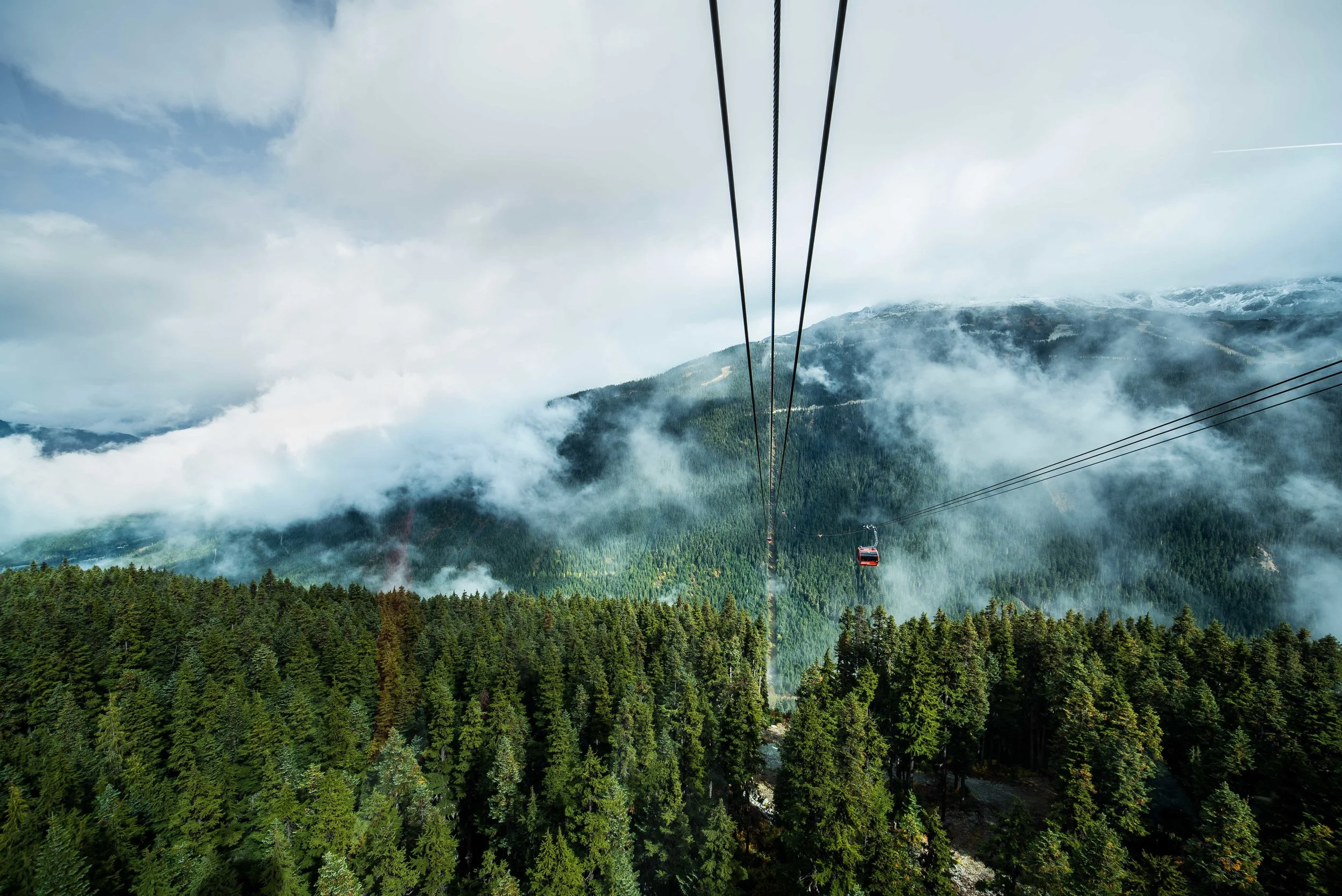 Whistler-20.jpg
