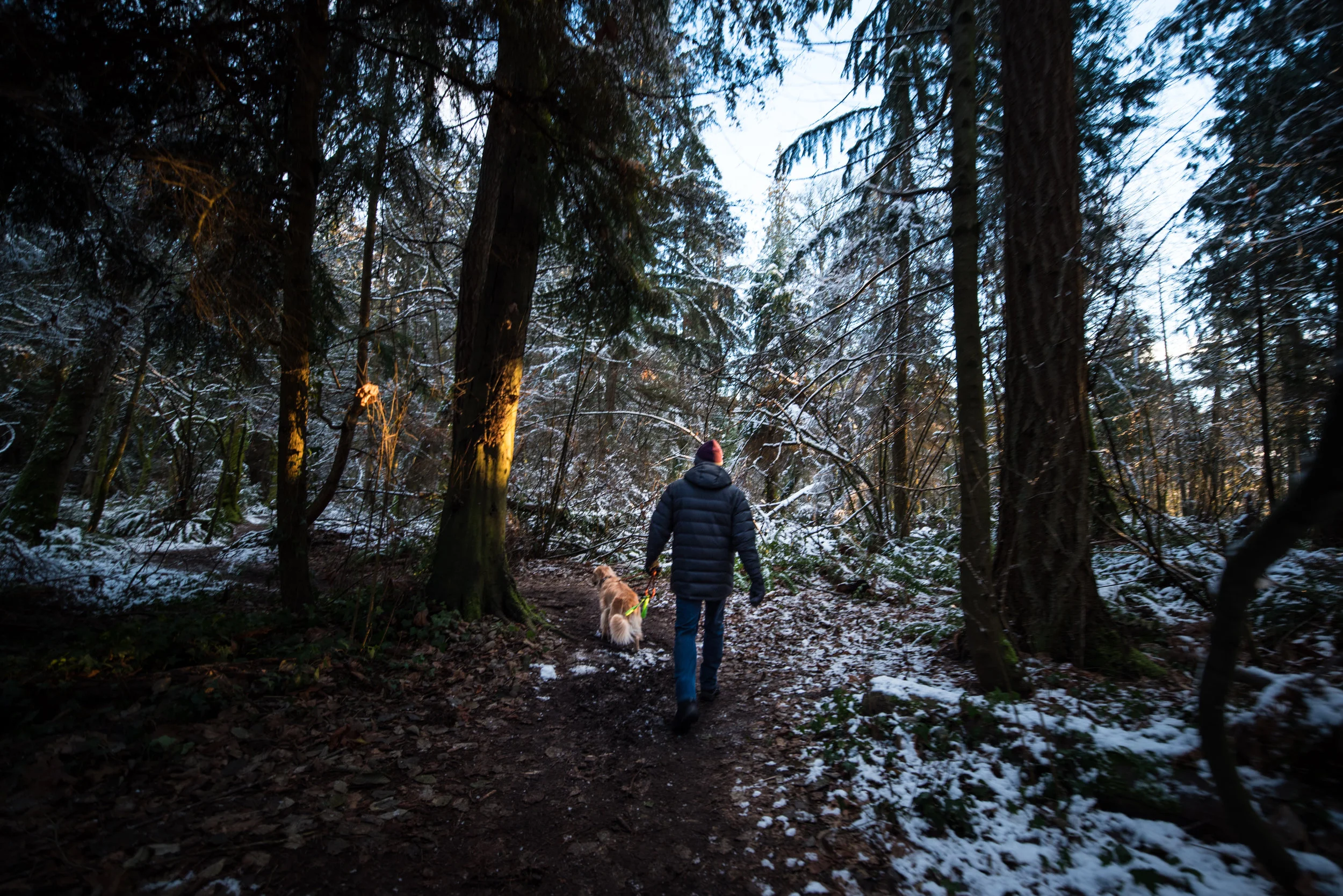 SnowyWalk-2.jpg