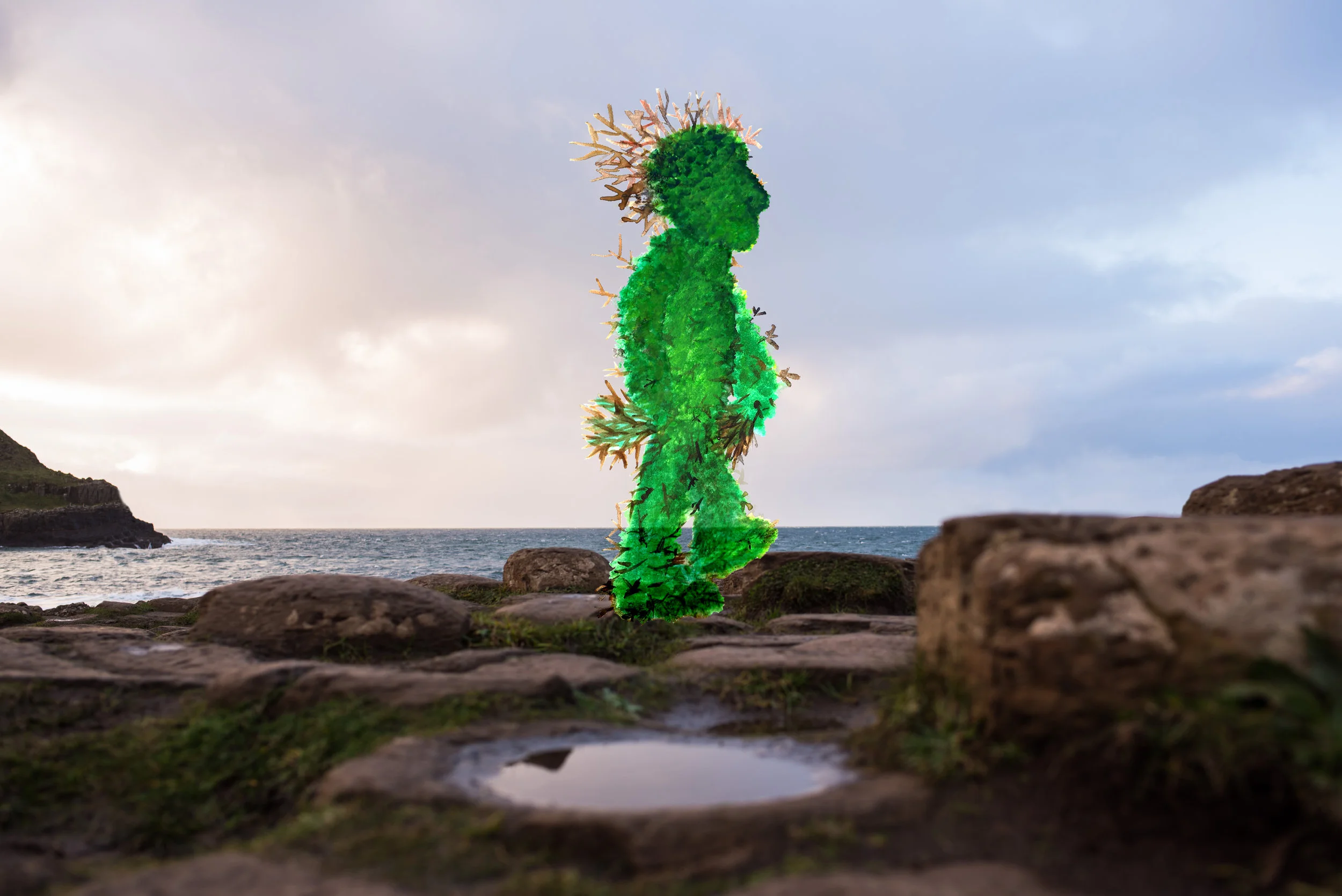 GiantsCauseway_Combined-1.jpg