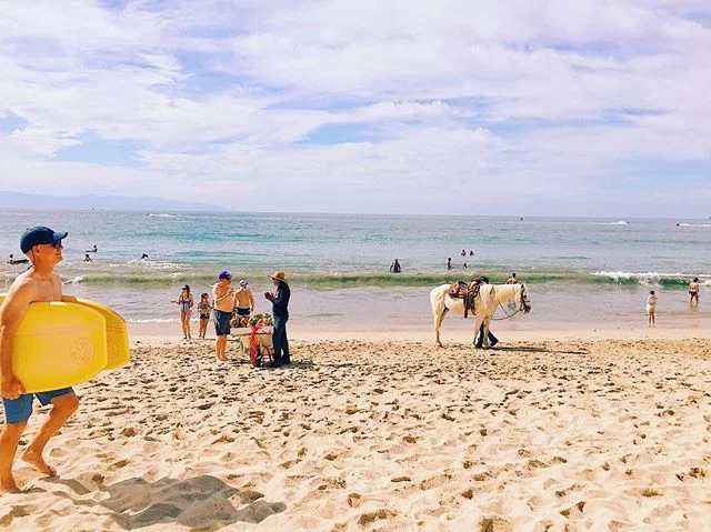 Winter in paradise.
#DadBuyingACoconut