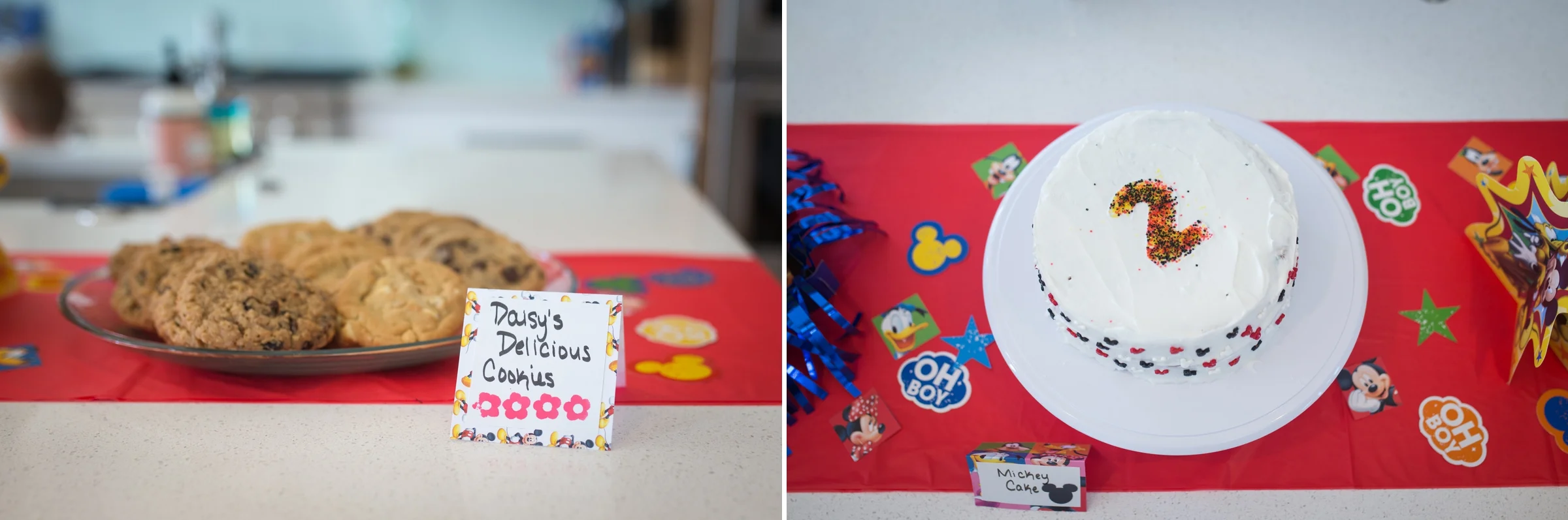Colorado Birthday Party Photographer