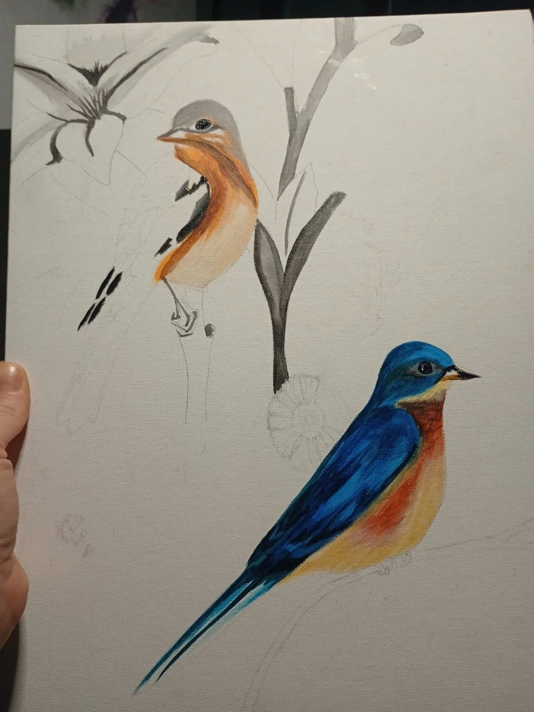Last commission in progress 