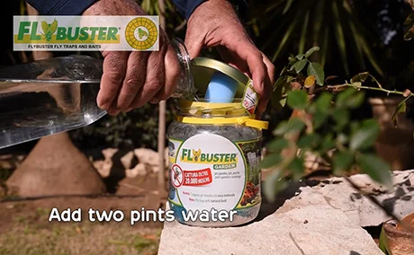 How to use Flybuster: Step 2
