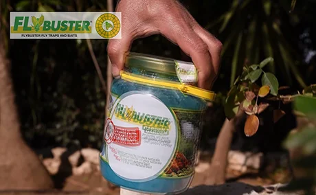 How to use Flybuster: Step 3