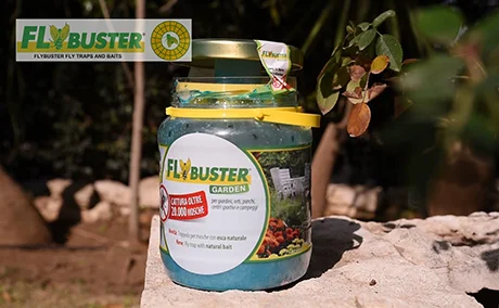 How to use Flybuster: Step 4