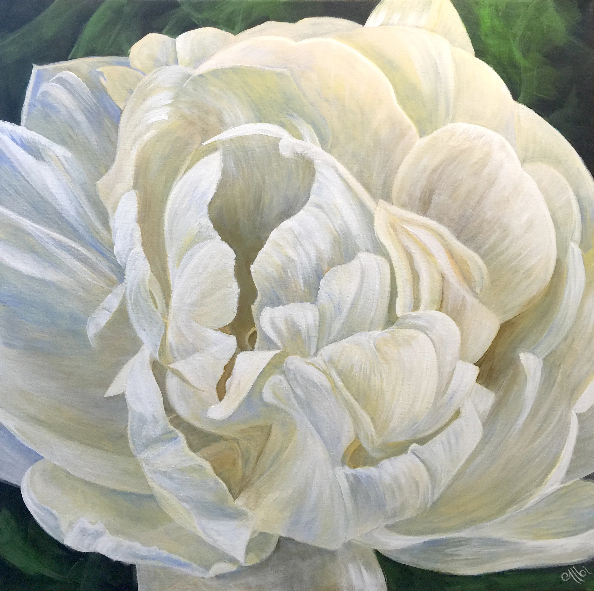 Peonie