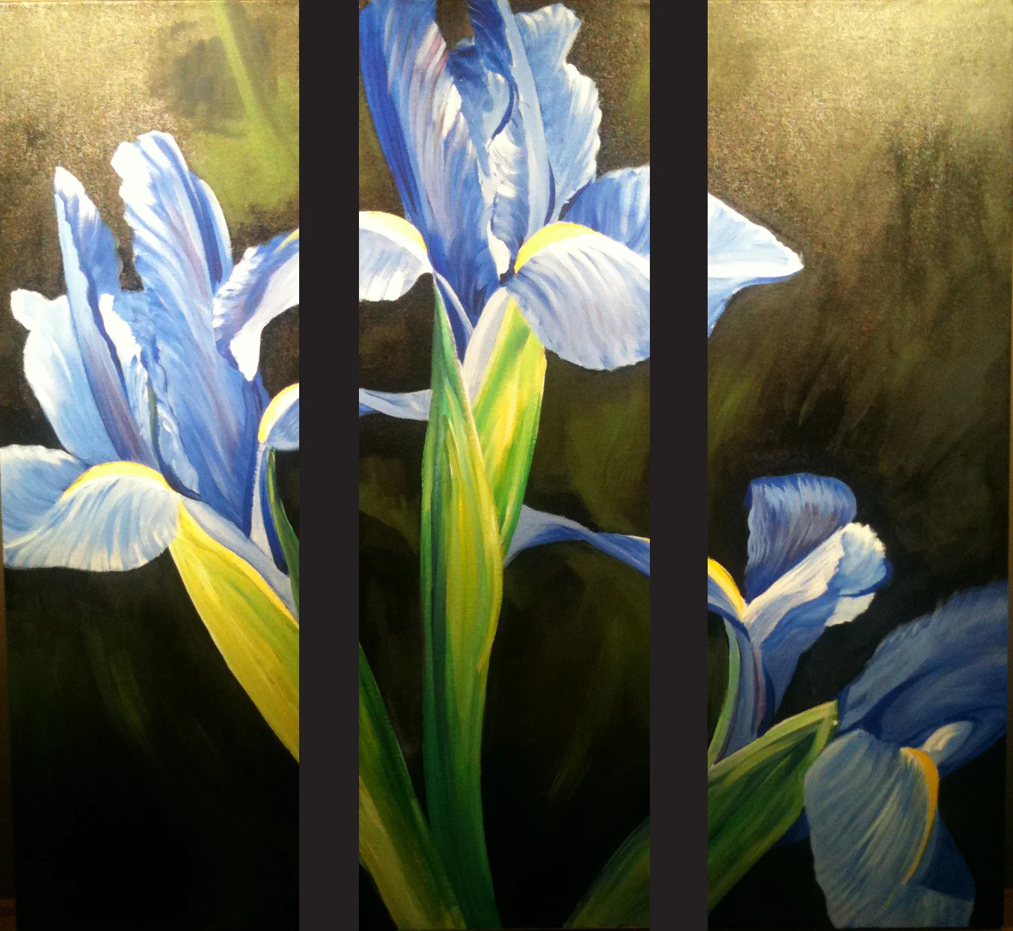 Irises