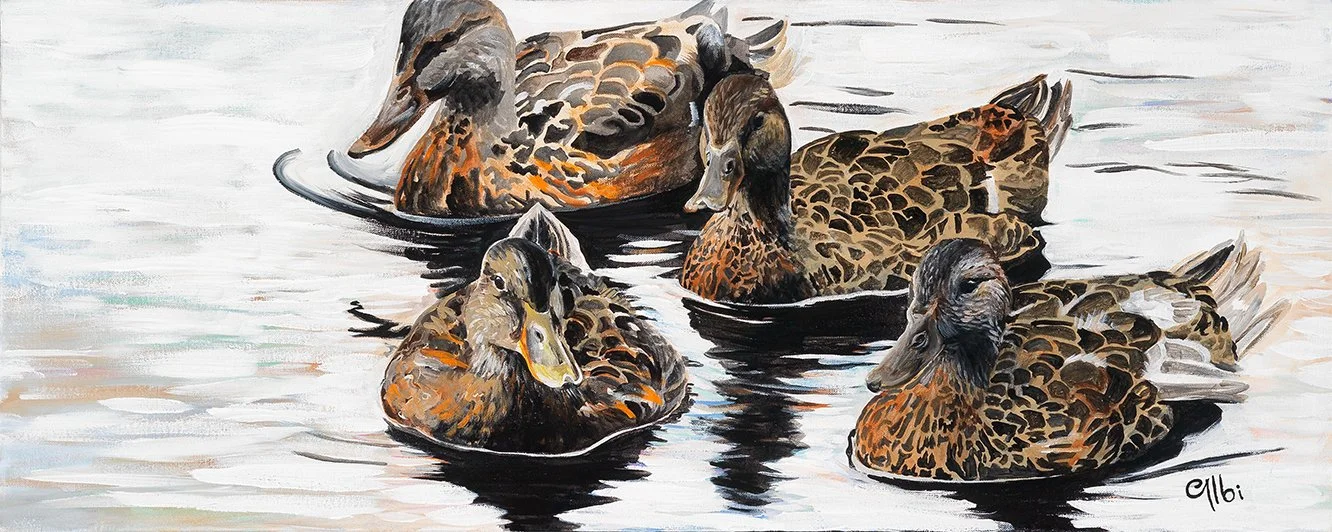 Cecile_Albi_Ducks_16x40_LR.JPG