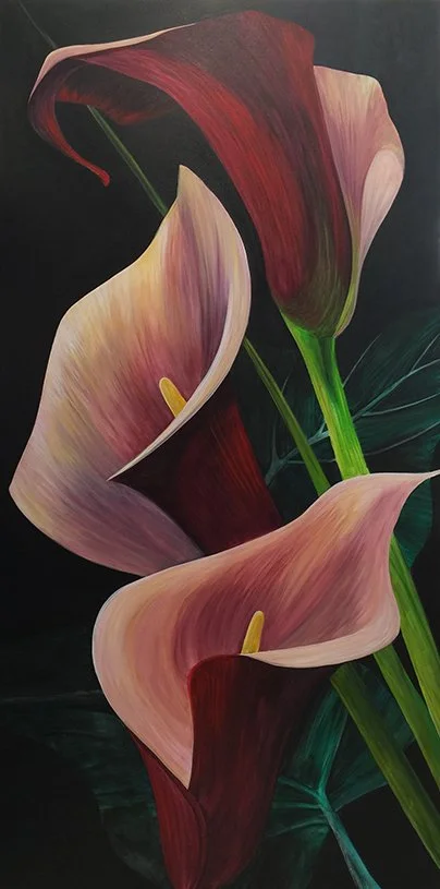 Calla Lilies